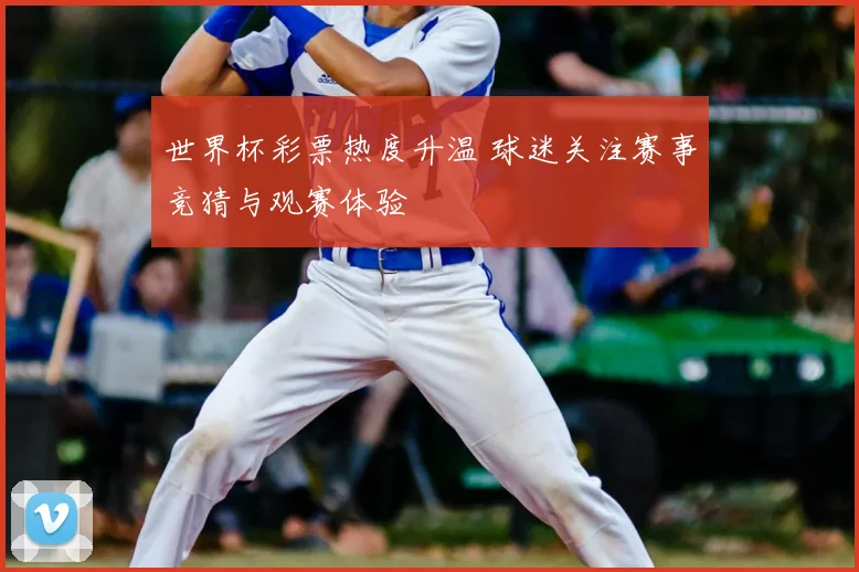世界杯彩票热度升温 球迷关注赛事竞猜与观赛体验