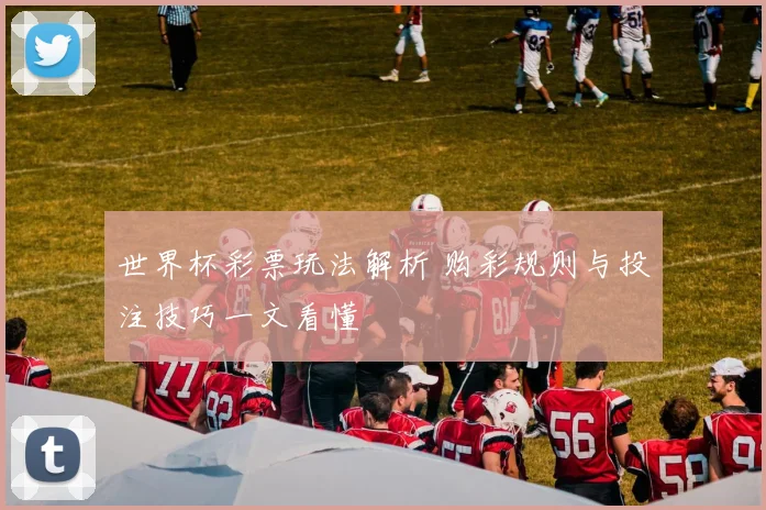 世界杯彩票玩法解析 购彩规则与投注技巧一文看懂